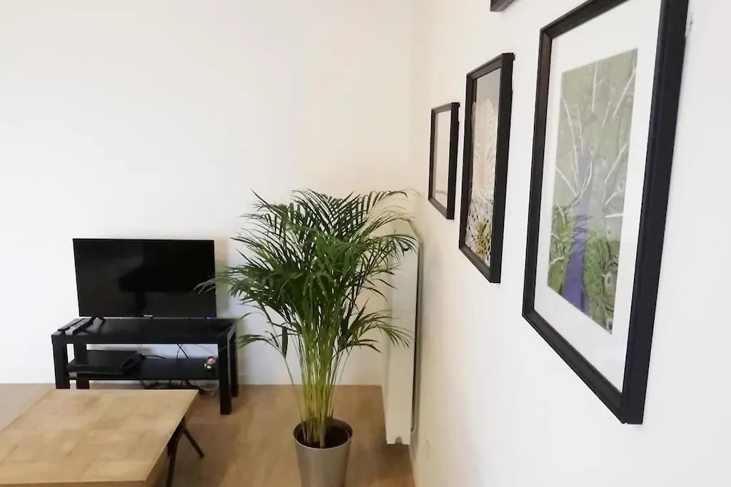 Appartement Proche Chu Avec Balcon Et Parking Lille Fransa